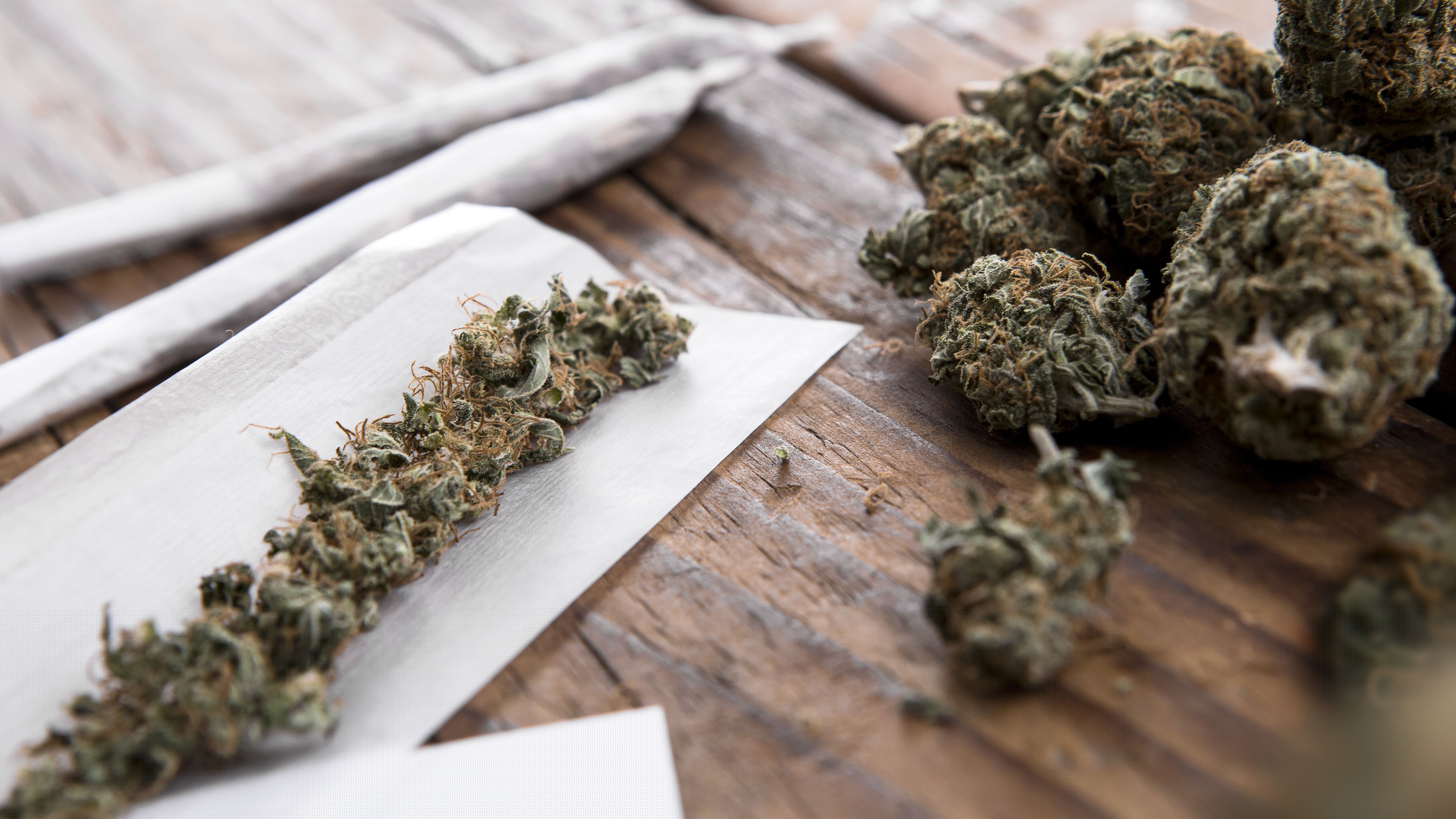 New strains of the Cannabis indica post thumbnail image